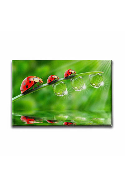 enmalife Ugur Bocegi Decorative Canvas Wall Painting