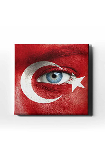 enmalife Blue Eye - Moon Star Decorative Canvas Wall Painting