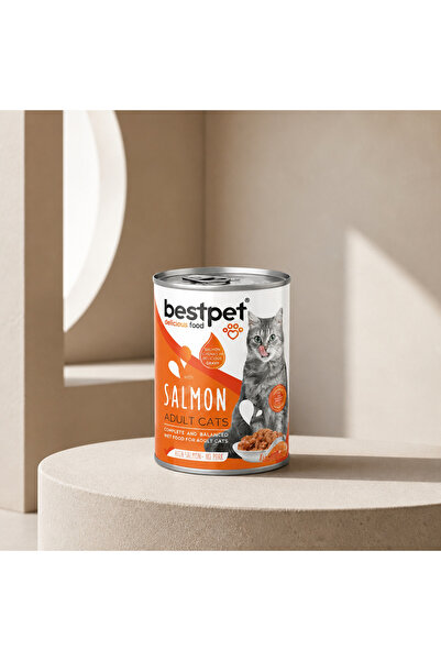 Bestpet Kedi Konservesi Somonlu 400gr 12 AD