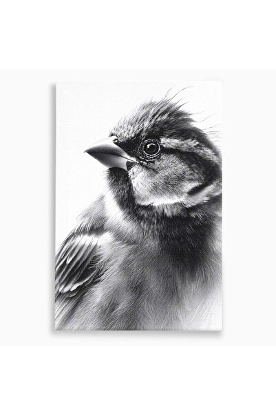 Luxcanva Tablou Canvas Portret De Pasare 70x100 cm pe Sasiu Lemn Pasare Portr...