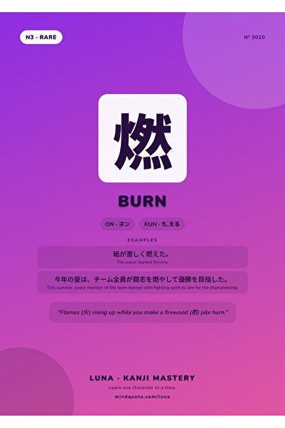 OEM Poster Infografic Kanji Ardere, Design Japonez Minimalist, Carton 250g, A4