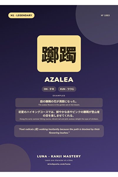 OEM Poster Infografic Kanji Azalea Japonez, Traducere si Semnificatie, Carton...