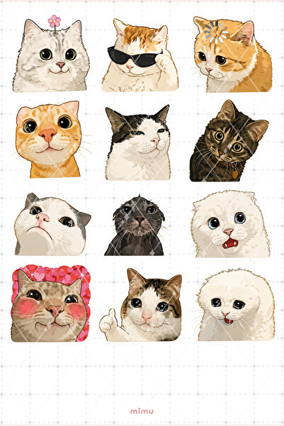 Mimu Art Studio Ünlü İnternet Kedileri Sticker Seti Komik Yüzler ve Tepkiler ...