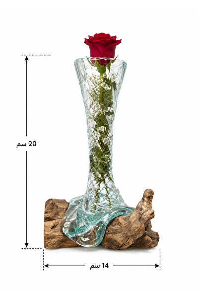 Generic Tall Glass Vase with Natural Wood Base – Elegant Artistic Design Rose...