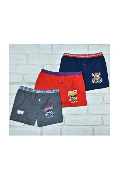 Zulu Ticaret Tutku-3 Pieces Children's Elastane Printed Boxer 0253