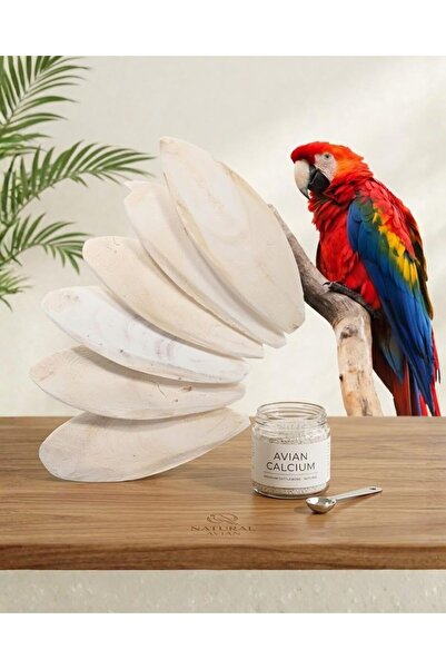 MyPetShop Large Cuttlebone, Natural Calcium for Birds, 4 Pack, 10 x 3 in 25 x...