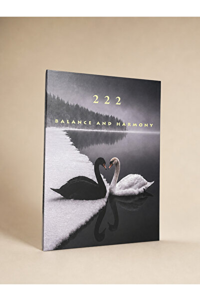 LUMEYA HOME 222 Manifest Kuğu Desenli Dekoratif Kitap Kutu – Balance and Harmony