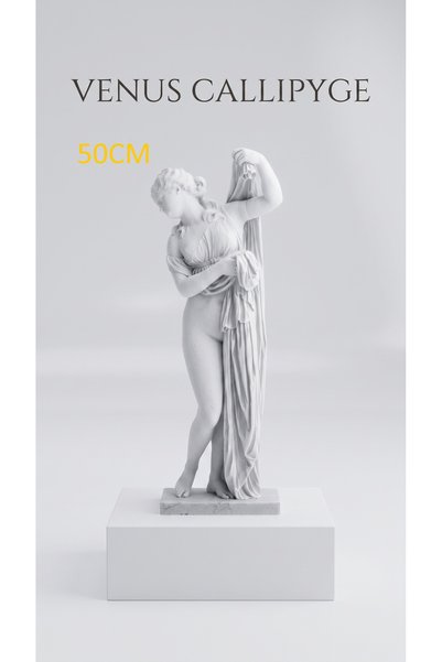 uAmor Dekoratif Venus Callipyge Heykeli - Antik Yunan & Roma Mitolojik Sanat ...