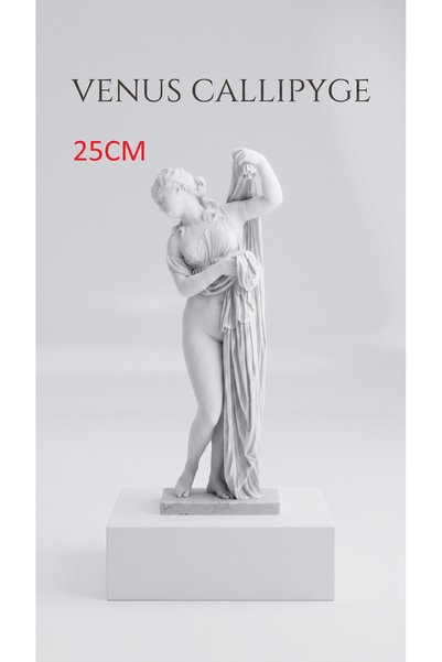 uAmor Dekoratif Venus Callipyge Heykeli - Antik Yunan & Roma Mitolojik Sanat ...