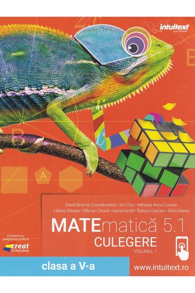 INTUITEXT Matematica 5.1 - Clasa 5 - Culegere Vol.1 - David Brumar, Ion Cicu,...