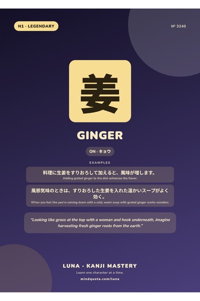 OEM Poster Infografic Kanji Ghimbir, Design Japonez Educativ, Carton 250g, A4