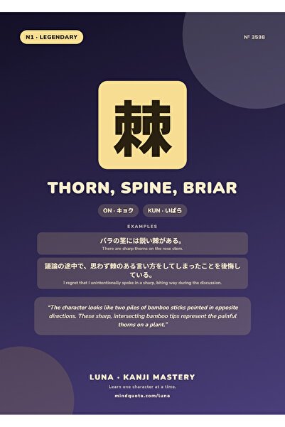 OEM Poster Infografic Kanji Spin, Ghimpe, Mărăcine, Design Japonez Educativ, ...