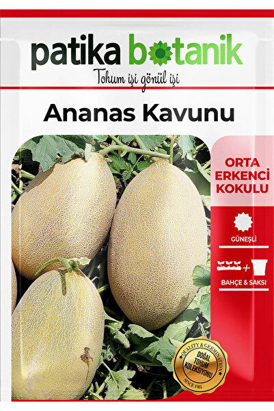 Patika Botanik 50 Adet Ananas Kavun Tohumu