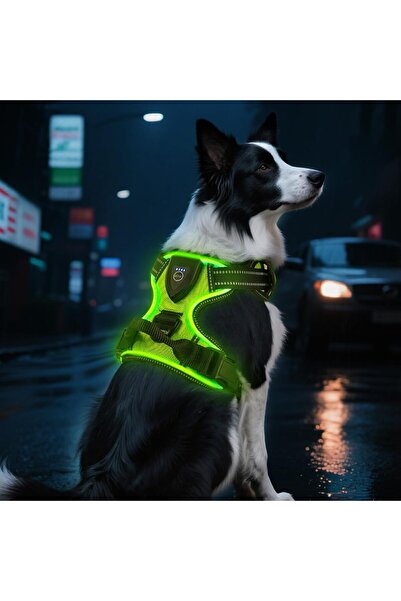 AUAUY Ham luminos pentru câini, reglabil, reîncărcabil, respirabil, verde, ha...