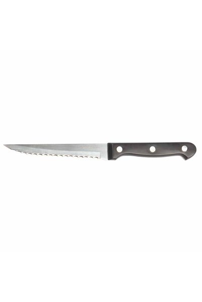 Epinox Steak Bıçağı PP Saplı Biftek ve Et Bıçağı