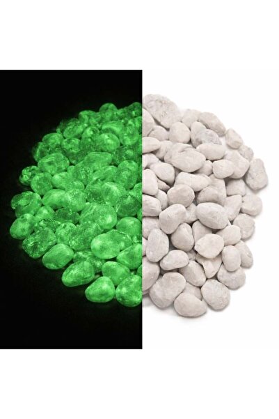 CATIANO Pietre Decorative Albe cu Efect Fosforescent 1-2cm - 550g