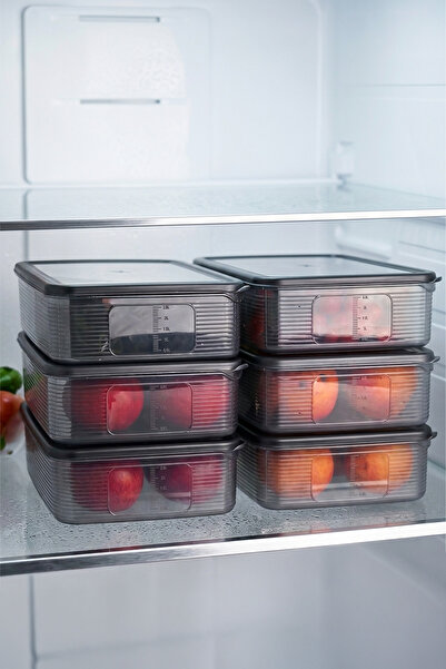 Kitchen Life 6 Adet Dikdörtgen Buzdolabı İçi Düzenleyici Erzak Saklama Kabı S...