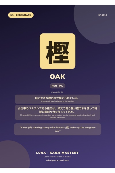 OEM Дъбов инфографичен плакат с канджи, японско писане, 250гр картон, А4