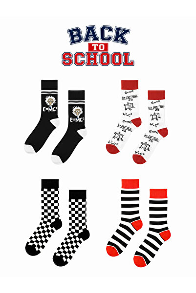 CARNAVAL SOCKS Okula Dönüş 4'lü Çorap Seti – Matematik Temalı Kalemlikli