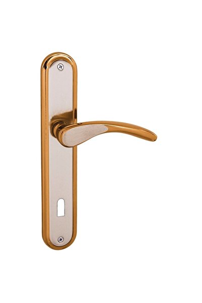 FREKANS Atlas Satin Albirifin Mirror Room Door Handle