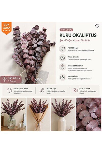 Doğal Bordo / Mürdüm Kuru Okaliptus