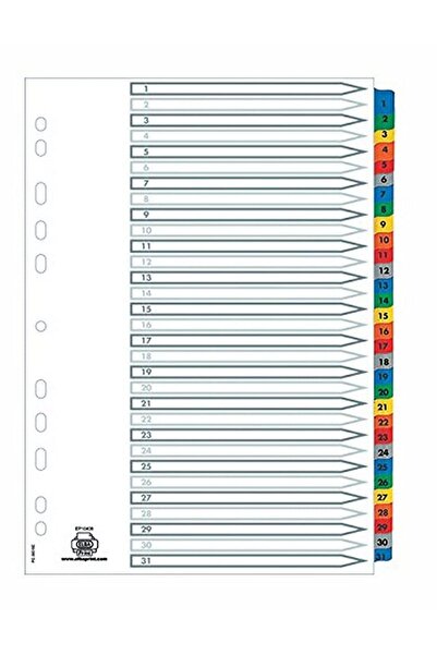 OEM Separator numerotat A4, 31 de compartimente, asortat