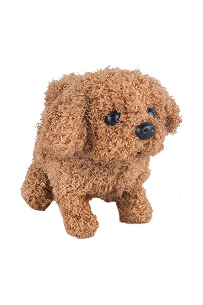 OEM Jucărie muzicală pentru bebeluși și copii - Caine Interactiv Poodle Maro ...
