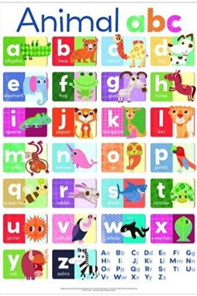Brook Wall Chart ; Animal Abc