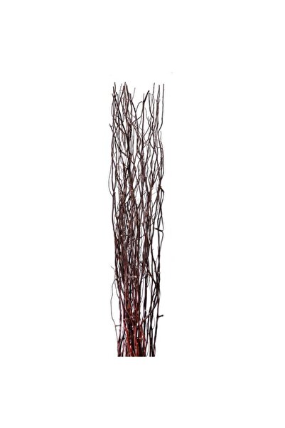 CATIANO Crengi cu Becuri LED 120cm - 24buc