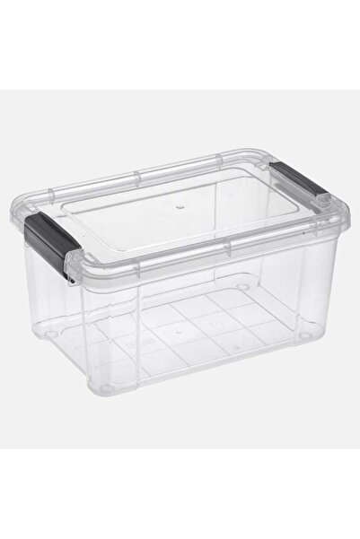 CATIANO Cutie de Depozitare din Plastic Transparenta cu Capac & Manere 2,5L