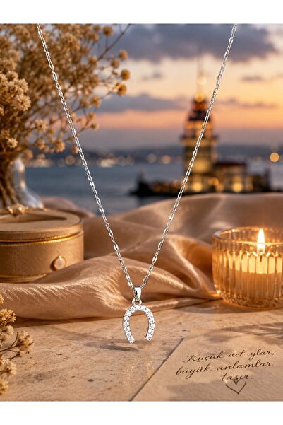 Liacharm Zircon Stone Horseshoe Necklace - Stainless Steel Luck Necklace