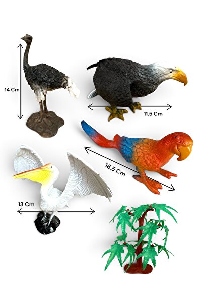 tmtoysandmore Kartal-Papağan-Deve Kuşu Ve Pelikan 4 Model Büyük Boy Kuş Seris...