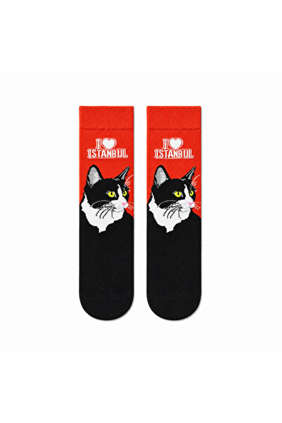 CARNAVAL SOCKS I Love İstanbul 5'li Kutulu Çorap Seti – Kediler ve Simit