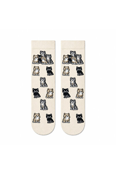 CARNAVAL SOCKS Eğlenceli Karışık Desenli 5'li Kutulu Çorap Seti