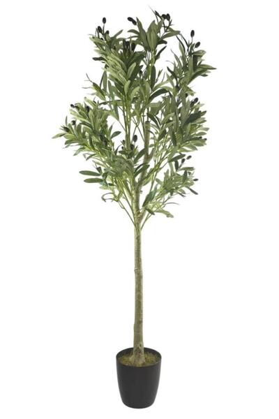 Nettenevime Yapay Zeytin Ağacı Lüks 160cm Doğal Gövdeli Gerçek Görünümlü Yapa...