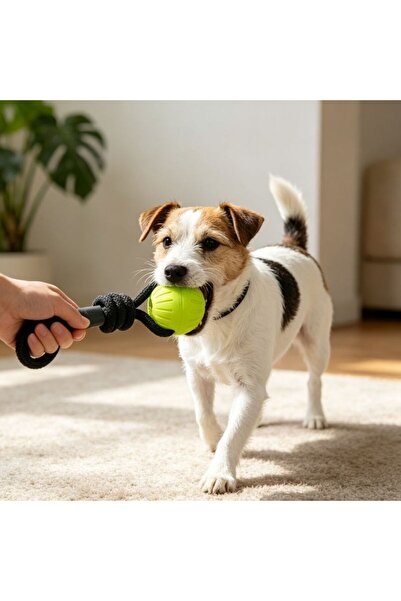 idei Floating Dog Throwing Ball 9 cm with Rope, Interactive Dog Training Toy,...