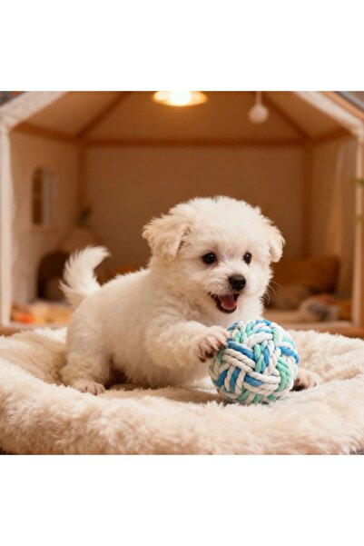 idei 7.5cm Braided Cotton Ball Toy for Pets, for Playing and Teeth Cleaning, ...