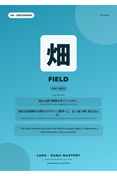 OEM Αφίσα Ινφογραφίκας Kanji Field, Αυθεντικό Ιαπωνικό Σχέδιο, Χαρτόνι 250γρ....