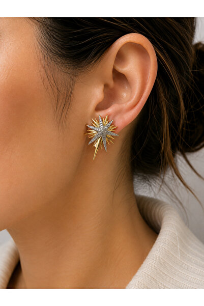 QUEENELA Stainless Steel Zircon Stone Star Women's Earrings – Gold Silver Col...