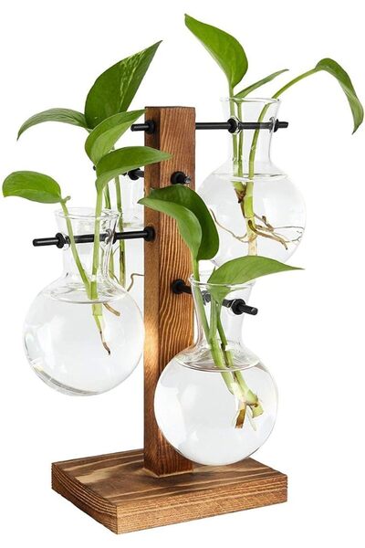 eWINNER Desktop Glass Flower Pot Vase with Retro Solid Wood Small Bench Frame...