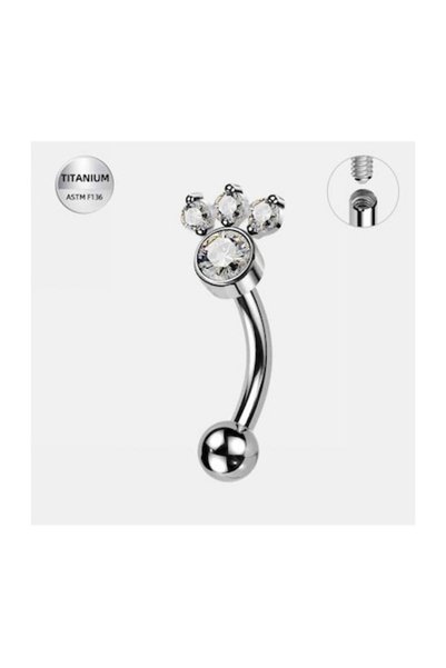 Funny Party Shop Eyebrow/Rook Ear Piercing, Silver Titanium with Crystal Paw ...