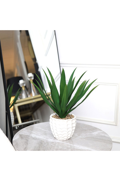 Al Hadaya Mall Elegant and Modern Artificial Plant - White - 30 cm