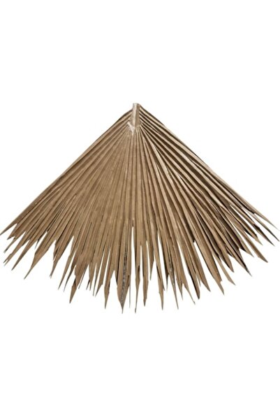 OEM Ecological Roof RS 204, 0.8m x 0.68m