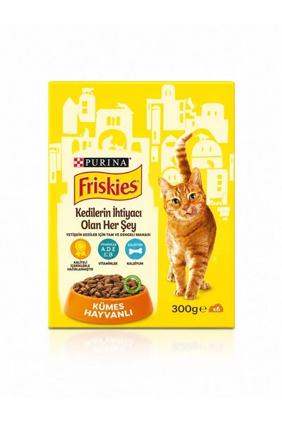 PURINA FRİSKİES YETTİŞKİN KEDİ MAMASI