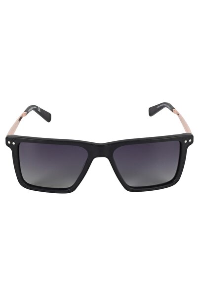 Ferfarini 1466 414P Sunglasses