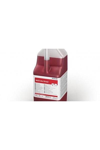 SİDE Maxx2 Into Citrus 5L, detergent sanitar