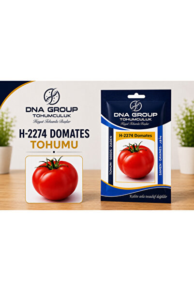 H-2274 tipi domates tohumu yerli standart net: 1 gr - 300+ adet