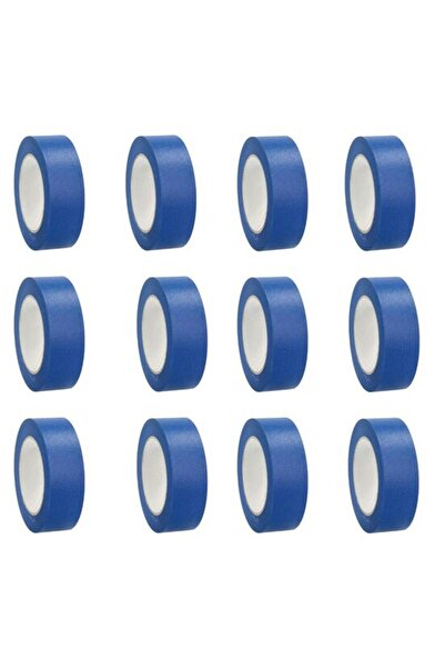 Solplant Set 12 benzi de mascare pentru vopsit, albastra, 48 mm x 40 m, rezis...
