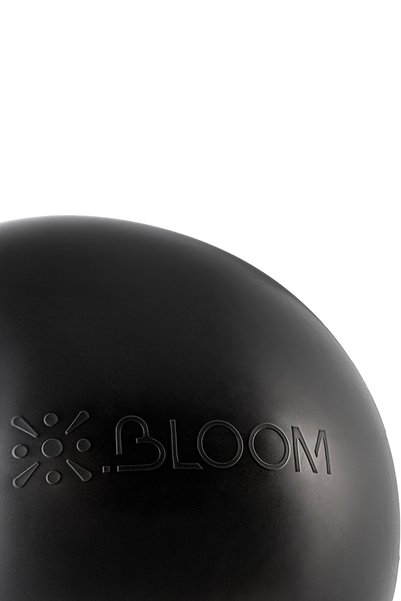 Bloom Lb7054-65-Bk 65 cm Pilates Ball + Pump