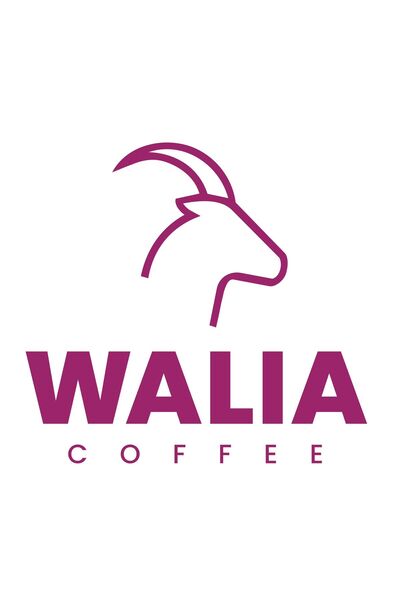 WALIA COFFEE ETHIOPIA HİNDİBA KAHVESİ 100 GR